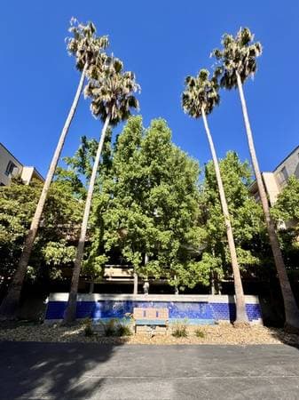 1BR/1BA Condo on N Civic Drive · Walnut Creek photo 1