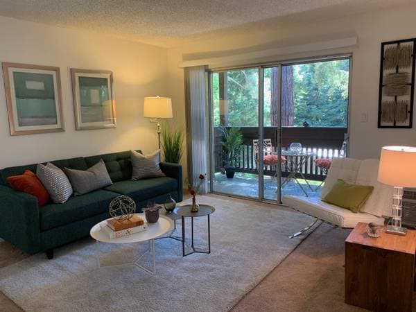 1BR/1BA Apartment on Northwood Dr · Concord photo 5