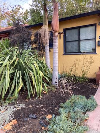 1BR/1BA Apartment · Emeryville photo 2