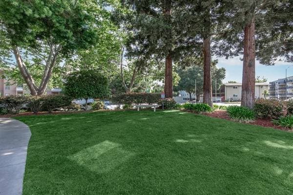 0BR/1BA Apartment on San Tomas Aquino Rd · San Jose photo 4