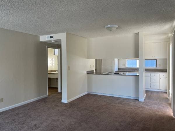 1BR/1BA Apartment on Pennsylvania · Fremont photo 5