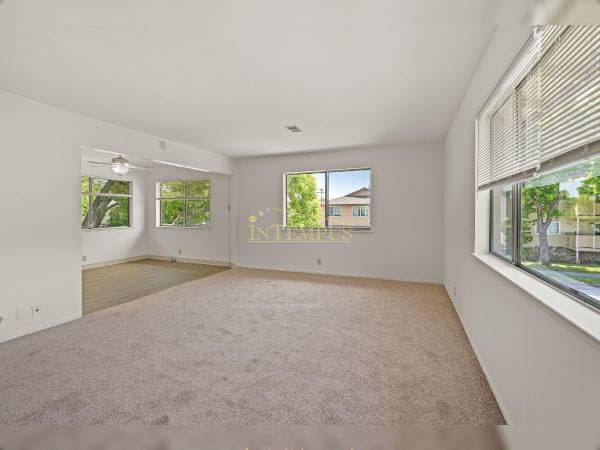 2BR/1BA Apartment on Francisco Ave Apt B · San Jose photo 3