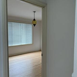 2BR/1BA Flat on 27th Ave · San Francisco photo 5