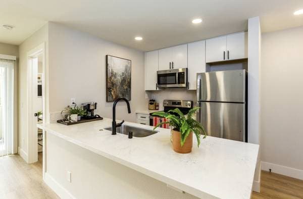 1BR/1BA Apartment on N Main Street · Walnut Creek photo 5