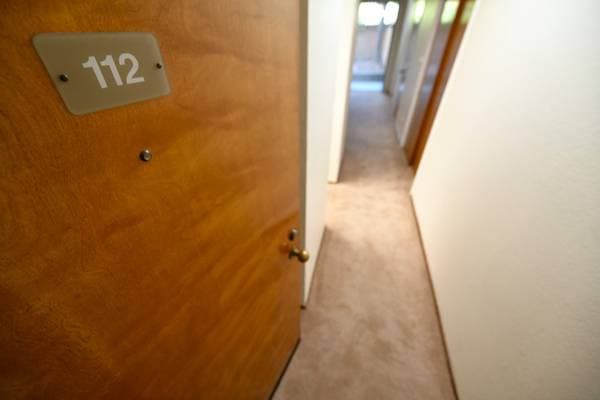 Moss Terrace photo 3