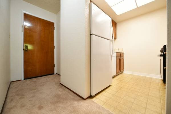 Moss Terrace photo 4