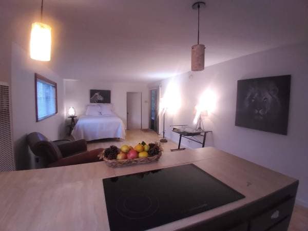 0BR/1BA Other · Napa photo 1