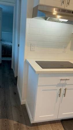 1BR/1BA Single Family House · San Carlos photo 4