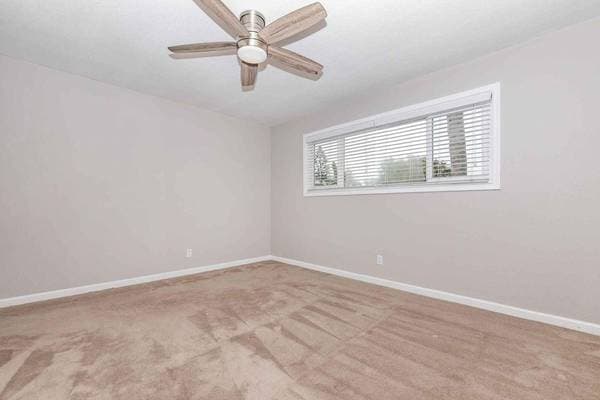 1BR/1BA Apartment on Central Avenue · Fremont photo 3