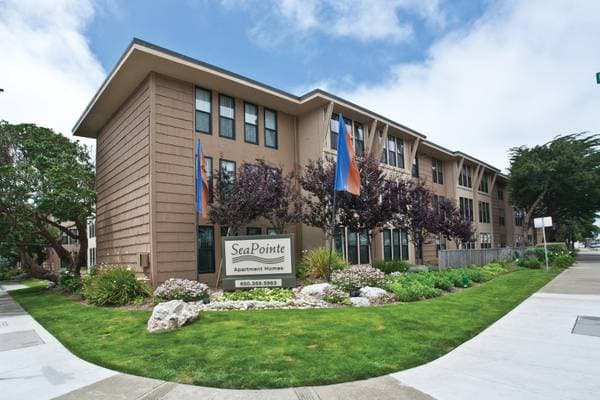 1BR/1BA Apartment on Paloma Ave · Pacifica photo 4