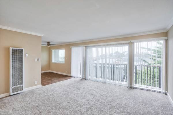 1BR/1BA Apartment on Paloma Ave · Pacifica photo 5