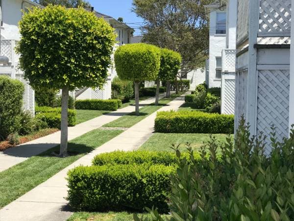 1BR/1BA Apartment · Alameda photo 3