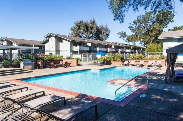 1BR/1BA Apartment on Shell Boulevard · San Mateo photo 5