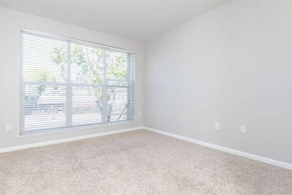 1BR/1BA Apartment on Schmidt Lane · El Cerrito photo 5