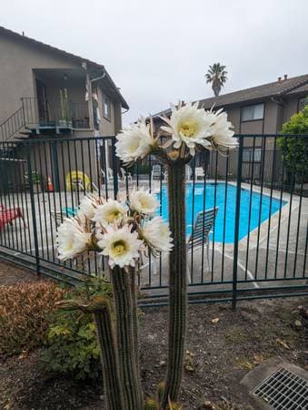2BR/1BA Apartment on Copeland Creek Dr · Rohnert Park photo 1