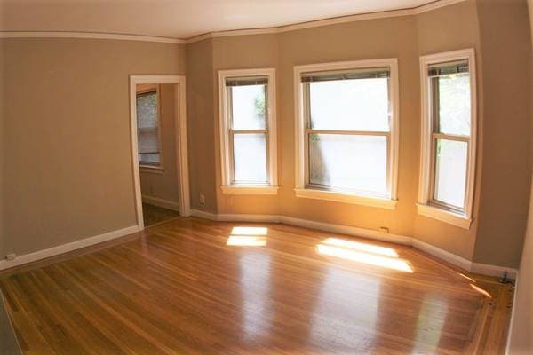 0BR/1BA Apartment on Lester Ave · Oakland photo 2