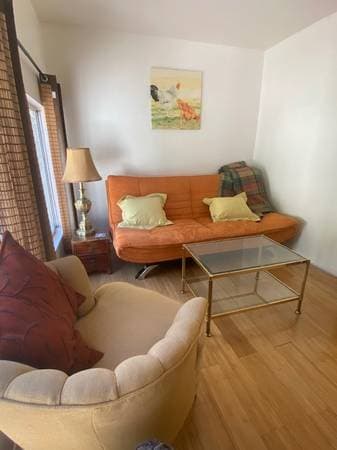 1BR/1BA Single Family House · Fairfax photo 4