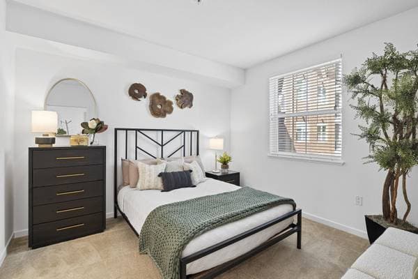 2BR/2BA Apartment · Milpitas photo 4