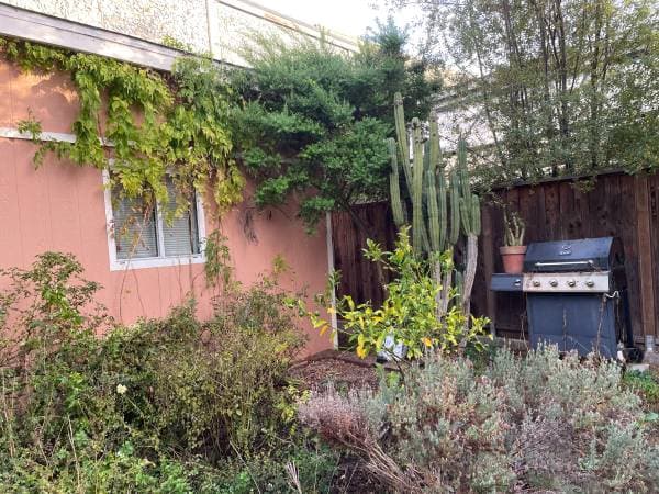 0BR/1BA Apartment on Vine Street · Berkeley photo 3