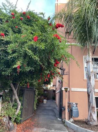 0BR/1BA Apartment on Vine Street · Berkeley photo 4