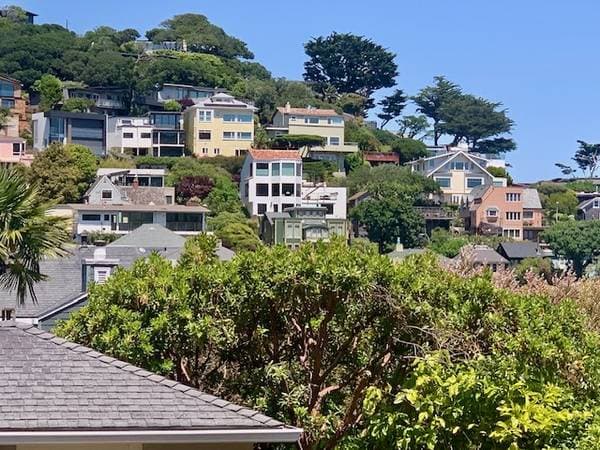 1BR/1BA Apartment on Valley Street · Sausalito photo 2