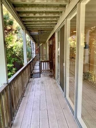 1BR/1BA Apartment on Valley Street · Sausalito photo 4