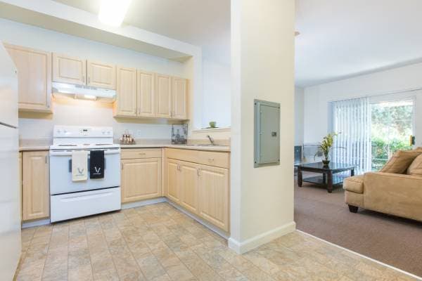 1BR/1BA Apartment · San Jose photo 4
