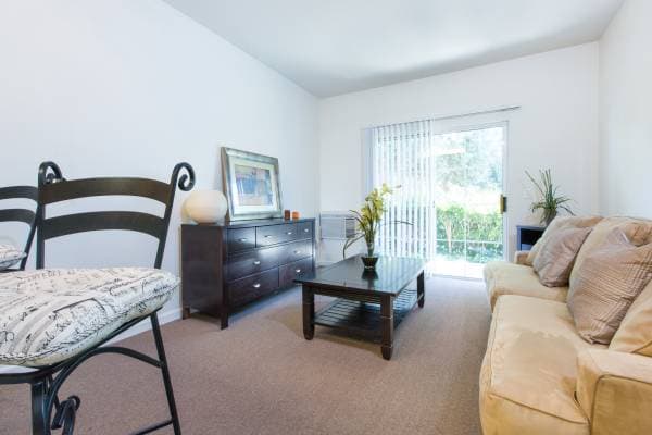 1BR/1BA Apartment · San Jose photo 5