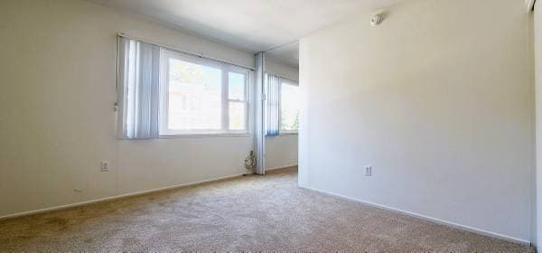 1BR/1BA Apartment · San Francisco photo 3
