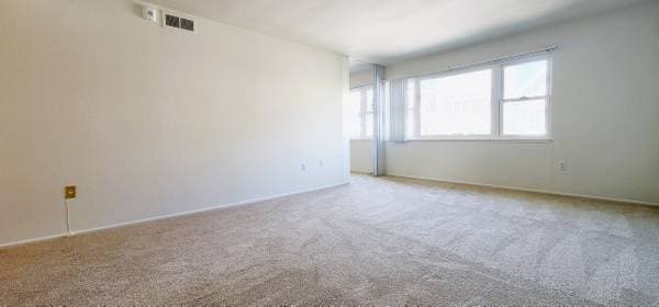 1BR/1BA Apartment · San Francisco photo 4