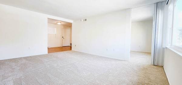1BR/1BA Apartment · San Francisco photo 5