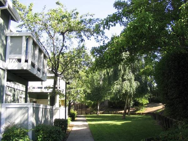 1BR/1BA Apartment on Redwood Parkway · Vallejo photo 2