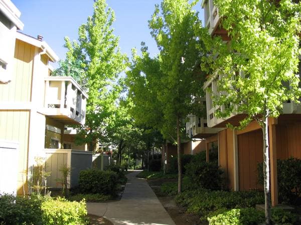 1BR/1BA Apartment on Redwood Parkway · Vallejo photo 3