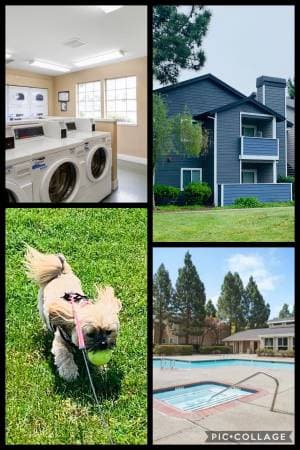 1BR/1BA Apartment · Vallejo photo 1