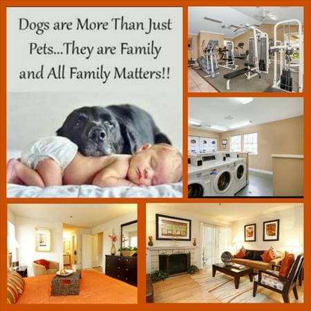 2BR/2BA Apartment · Vallejo photo 1