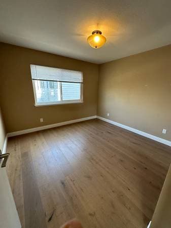 1BR Flat · San Francisco photo 3