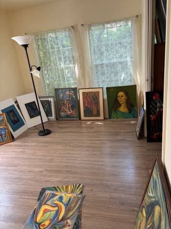 1BR/1BA In Law Adu · Boyes Hot Springs photo 4