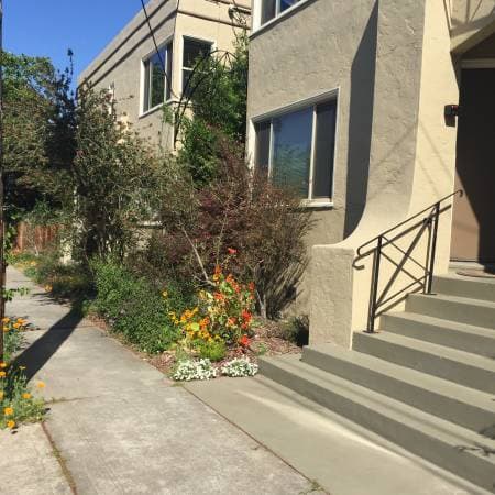 1BR/1BA Apartment on Masonic St · Martinez photo 3