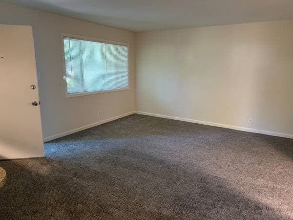 2BR/1BA Duplex on Pauline Dr. · Campbell photo 3