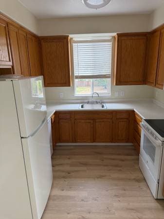 2BR/1BA Apartment on Prospect Avenue · Santa Rosa photo 5