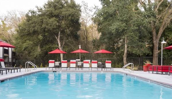 2BR/2BA Apartment on St Paul Dr · Santa Rosa photo 4