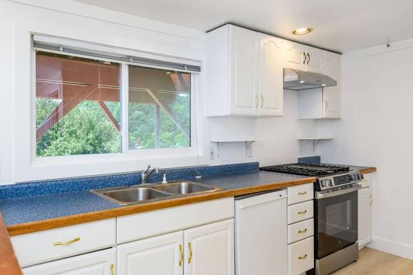 1BR/1BA Single Family House on Sacramento Ave · San Anselmo photo 5