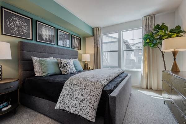 1BR/1BA Apartment on Diablo Road · Danville photo 1
