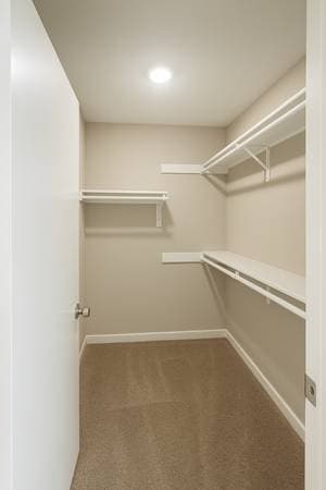 1BR/1BA Apartment on South Bascom Avenue · Campbell photo 4