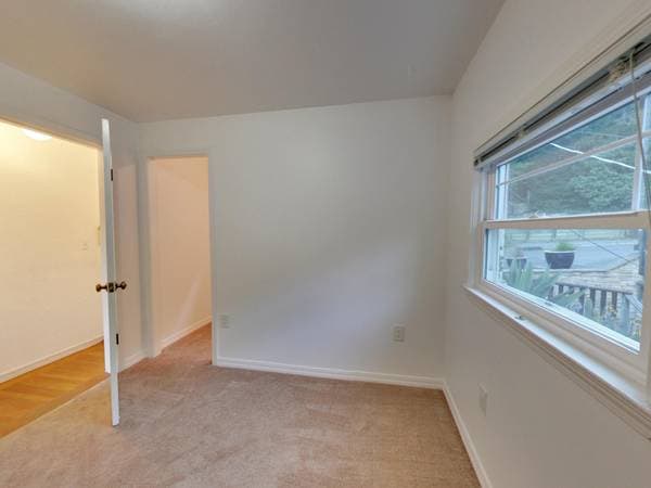 1BR/1BA Apartment · Fairfax photo 4