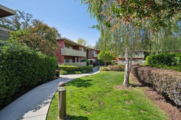 1BR/1BA Apartment on Massol Avenue · Los Gatos photo 4