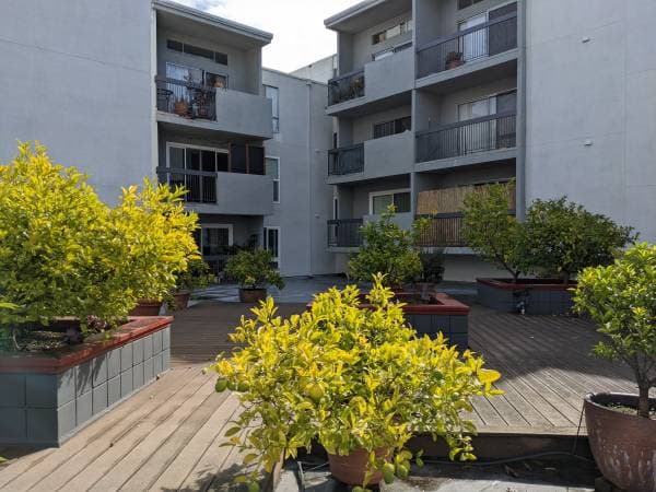 0BR/1BA Apartment · Oakland photo 1