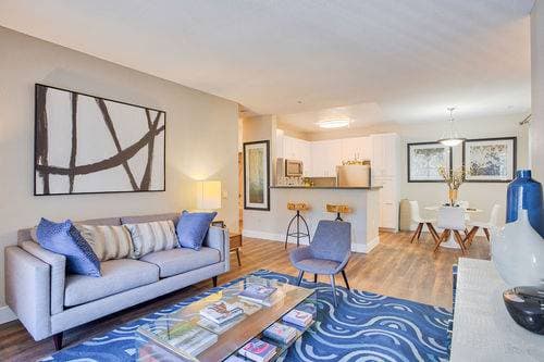 2BR/2BA Apartment · San Jose photo 4