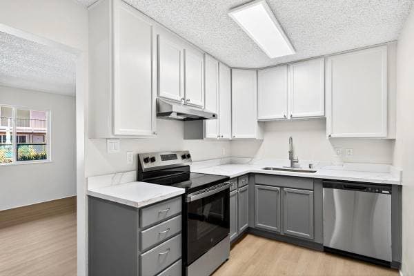 2BR/1BA Apartment · San Rafael photo 5