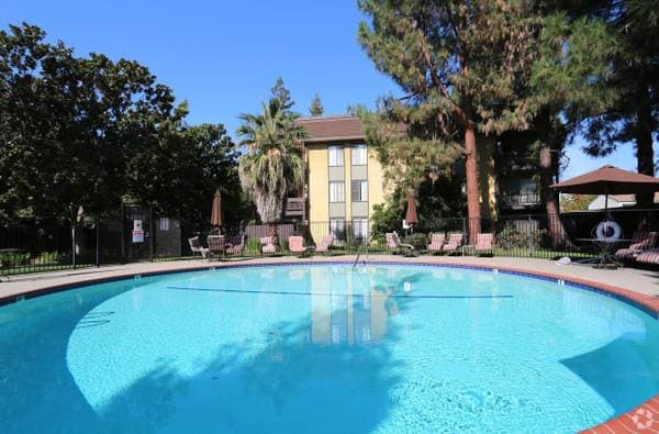1BR/1BA Apartment on Northwood Dr · Concord photo 3